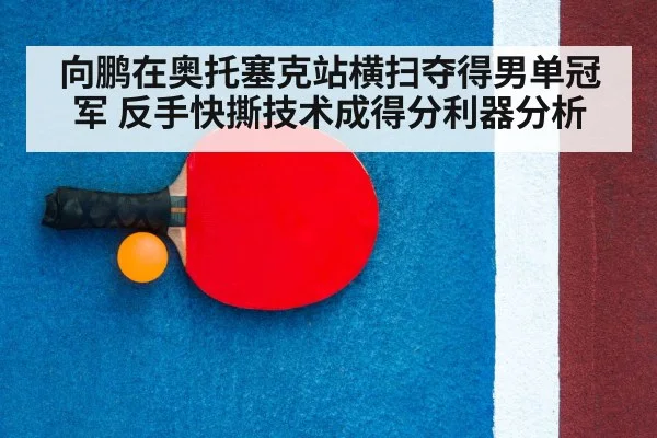 table tennis racket close up