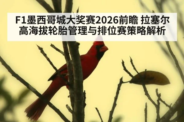 F1墨西哥城大奖赛2026前瞻 拉塞尔高海拔轮胎管理与排位赛策略解析